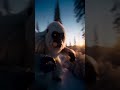 Yeti Vlog 2: Found Humans 😱😱 #aivideo