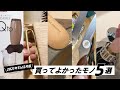 【買ってよかったモノ５選】HARIO泡立て器 / 木製まな板 / 鉄なべフライパンジュウ / PLUS分解キッチンバサミ / SANEIポップアップ排水栓(2021年11月&12月版)