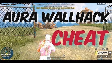Aura Wallhack Cheat Updated November 1 ,2020 (Rules of survival)