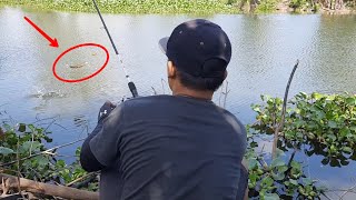 EXPLORE MANCING LIAR DI SUNGAI GLAGAH LAMONGAN