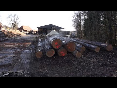Video: Klassifizierung Von Schnittholz - Auswahl Eines Guten Schnittholzes - Rundholz, Holzbretter - Wir Wissen, Was Wir Kaufen - 1