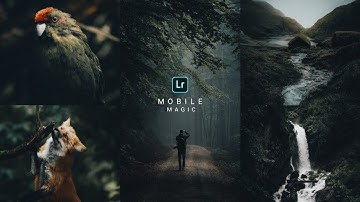 How To Edit Dark Forest in Lightroom Mobile || Download Free Dark Forest Preset 2021