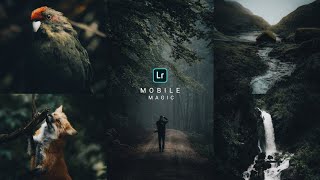 How To Edit Dark Forest in Lightroom Mobile || Download Free Dark Forest Preset 2021 screenshot 4