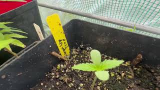 Easter Garden Tour 2026