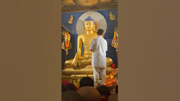 Buddha Statue Gold Painting at || Mahabodhi Temple Bodh Gaya || #Buddha #peace #bodhgaya