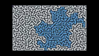 Celebrity The Most Satisfying Way to Solve a Maze Wealth