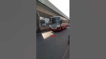 #trending #msrtc #shet #lalpari