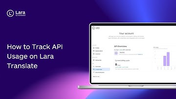 How to Track API Usage on Lara Translate