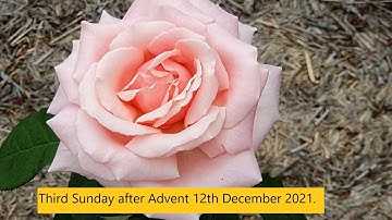 Third Sunday of Advent