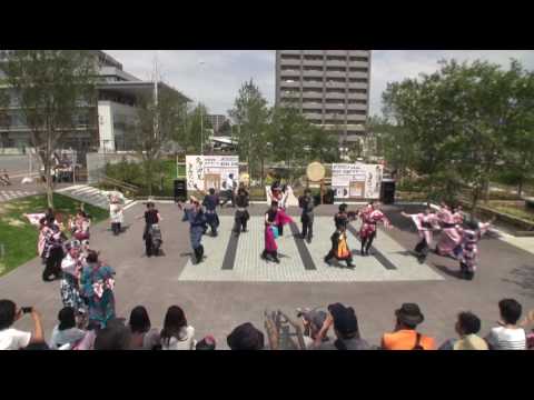 2016 7 30  多治見よさこい　メイン会場　烏舞