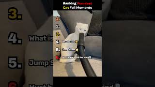 RANKING FUNNIEST CAT FAIL MOMENTS 😂😂