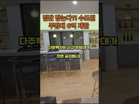수도권 주담대 6억 이하 제한…다주택자는 대출 전면 금지