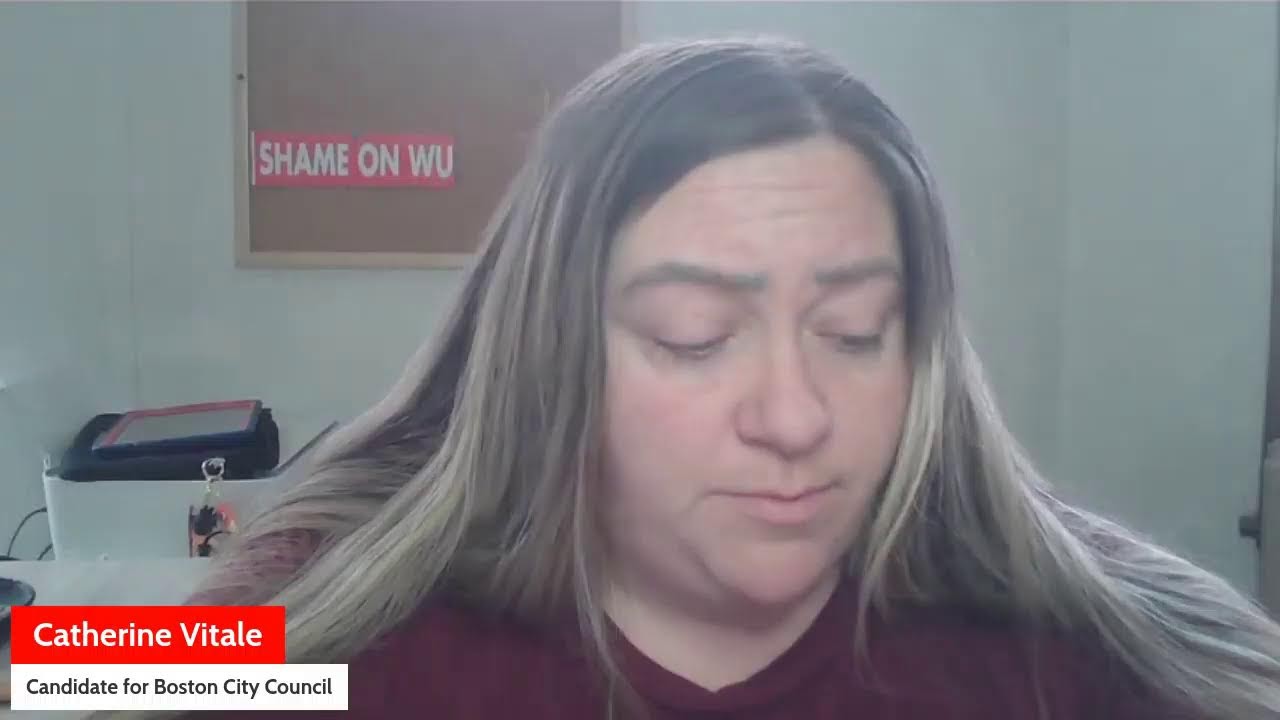 boston-city-council-hearing-on-planning-development-and