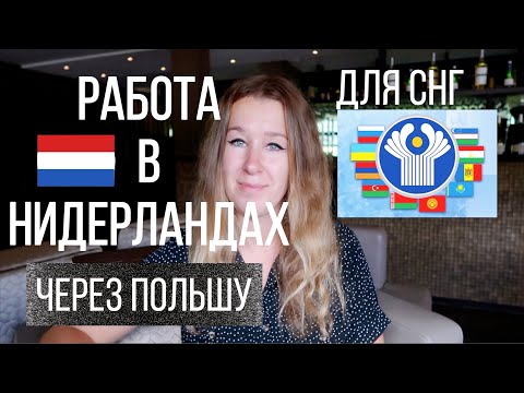 Работа в Нидерландах по польской визе | легально или нет? | правда о зарплате