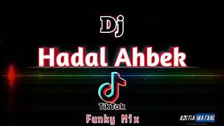 Dj Hadal Ahbek *TIK TOK* RAPARAPA Funky Mix - AditiaMatani Remix