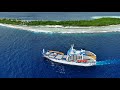 Aranui 5 in amanu tuamotu islands french polynesia amazing planet 4k 2023