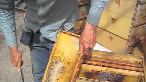 Cleaning mold from frames