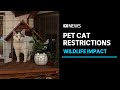Scientists back calls for stronger state laws to protect native animals from pet cats ABC News