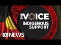 What do First Nations people think of the Voice? | Voice Referendum Explained | ABC News