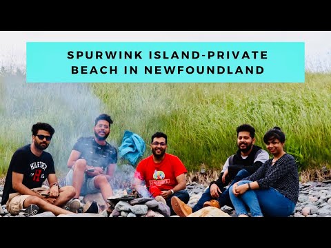 Video: Newfoundland Road Trip Resväg: Var Att Besöka, äta Och Bo