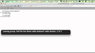 Custom UI Radio Button Accessibility Fail