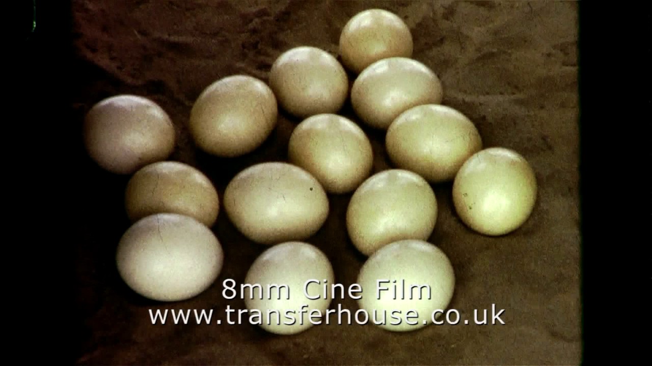 Super 8 transfer to dvd at transferhouse.co.uk