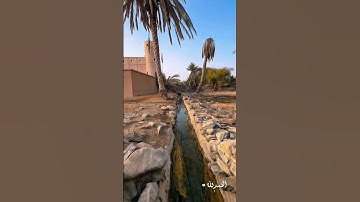 من سورة الكهف.. بصوت هيثم الرواحي #جمعة_مباركة #القرآن_الكريم