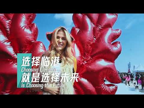 Shanghai, the gateway of Belt and Road, attracting more firms, talents to pursue dreams in Lin-Gang Episode cover