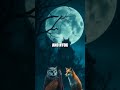 Lira and the Moonbound Light