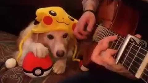 Pokemon theme and her pokeball. Gotta catch em all!