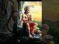 देखो देखो मुझे छोड़ ना देना ## short video short viral