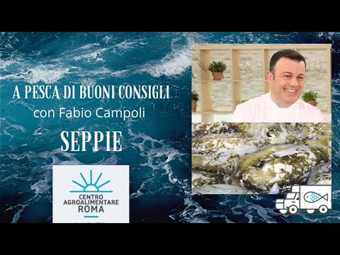 A pesca di buoni consigli - Seppie