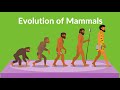 Evolution of Mammals | How did Mammals Evolved | Video for kids