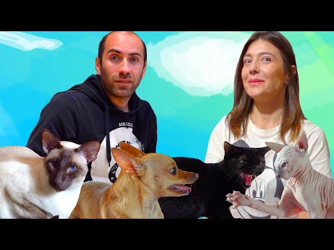 ტანიას ახალი სიურპრიზი?! Emili Family-ის საოჯახო ვლოგი