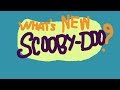 What S New Scooby Doo Cover Ruko Leanna Hibi風