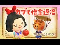 【あつ森】アプデに向けて！カブ活でお金稼ぎするライブ #あつまれどうぶつの森