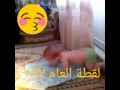 ماشاءالله ولد يقلد أبوه في الصلاة ماشاءالله ولد يقلد أبوه في الصلاة