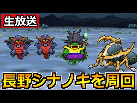 【ドラクエウォーク】長野のシナノキのねむれる地図を周回しながらレティスイベントを語る!【生放送】