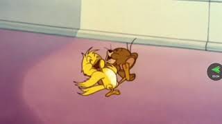 Oporadhi 2 Funny Song