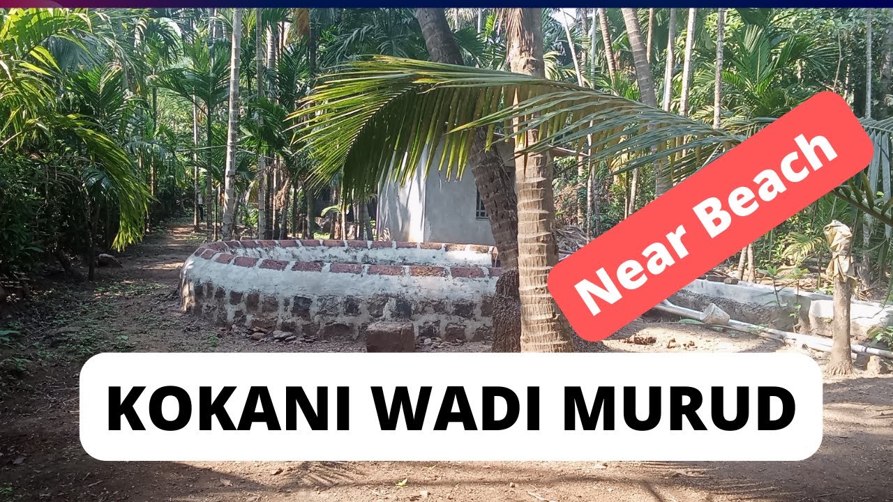 ID 147/223 The Ready Coconut Supari Kokani Wadi 40 guntha  near Beach in Tal Murud Raigad 9371129848
