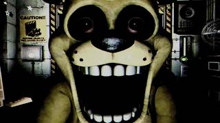I CAN'T PLAY THIS FNAF FAN GAME ANYMORE BRO... (Graveyard Shift At Freddy's Letsplay #4)