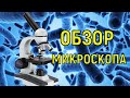 Отличный подарок ребенку. Обзор микроскопа &quot;МАЛЕНЬКИЙ УЧЕНЫЙ-4&quot; модель ZY852801