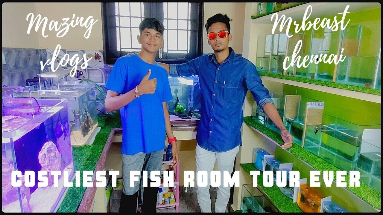 Costliest fish room tour with M A Z I N G  V L O G S ...!