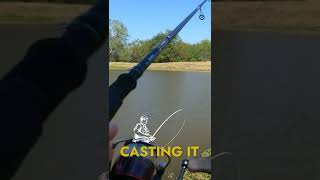Dead Stick Drop Shot Technique for Shallow and Deep Water!