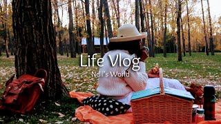 Fall Picnic Taking Time For Myself Silent Vlog