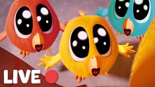 WHERE&#39;S CHICKY 2 | ALL SEASONS &amp; EPISODES 🔴 LIVE CARTOON | Best Cartoon Collection for Kids