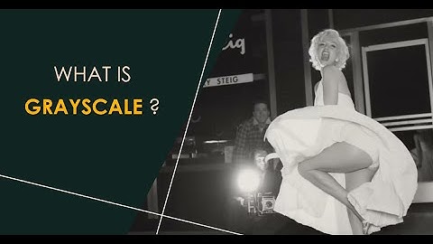 What is Grayscale ? || Cinematography || Visual Poetry