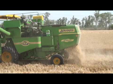 NS COMBINE HARVESTER IN WHEAT