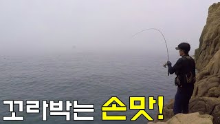 [벵에돔 낚시] 꼬라박는 당찬 손맛!! 짙은 해무 속에서의 벵에돔 낚시 in 매물도