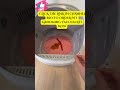 Best Cat Litter Box With Trash Bags To Buy For Cat 2026 (VIRAL)